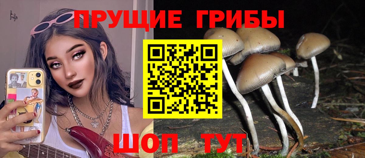 Псилоцибиновые грибы Psilocybine cubensis  Галлюциногенные грибы Cubensis  Алексеевка  Вход с VPN 