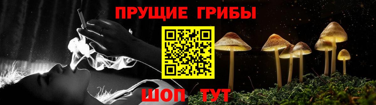 Псилоцибиновые грибы Psilocybine cubensis Алексеевка